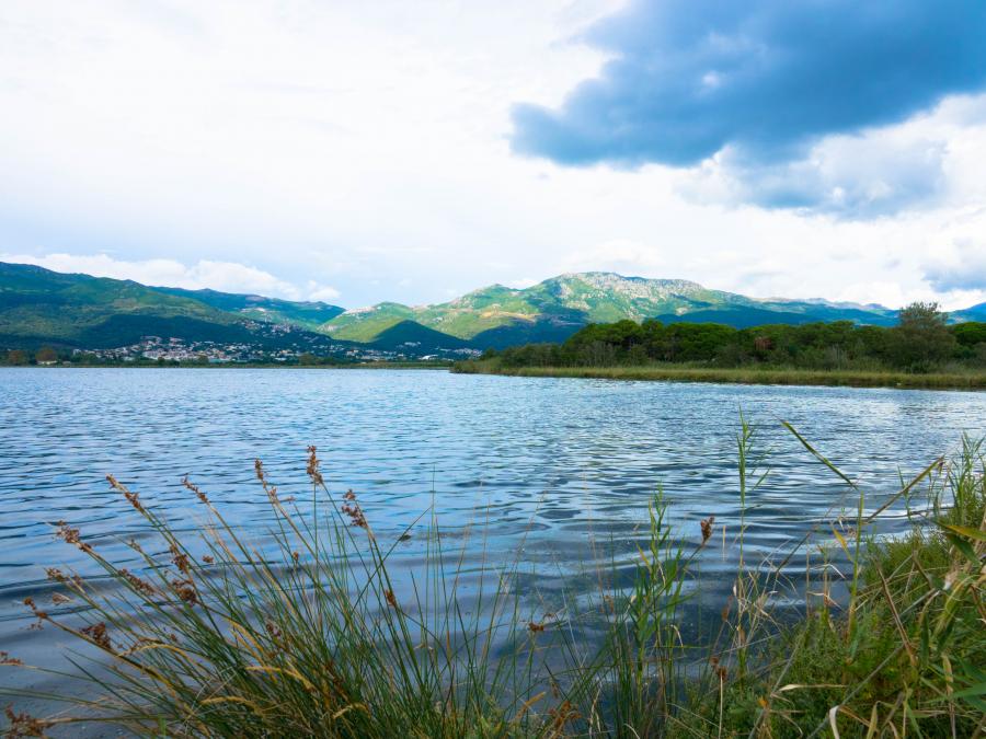 Etang de Biguglia à Bastia