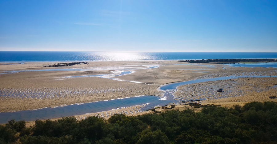 Portugal Algarve RIA FORMOSA